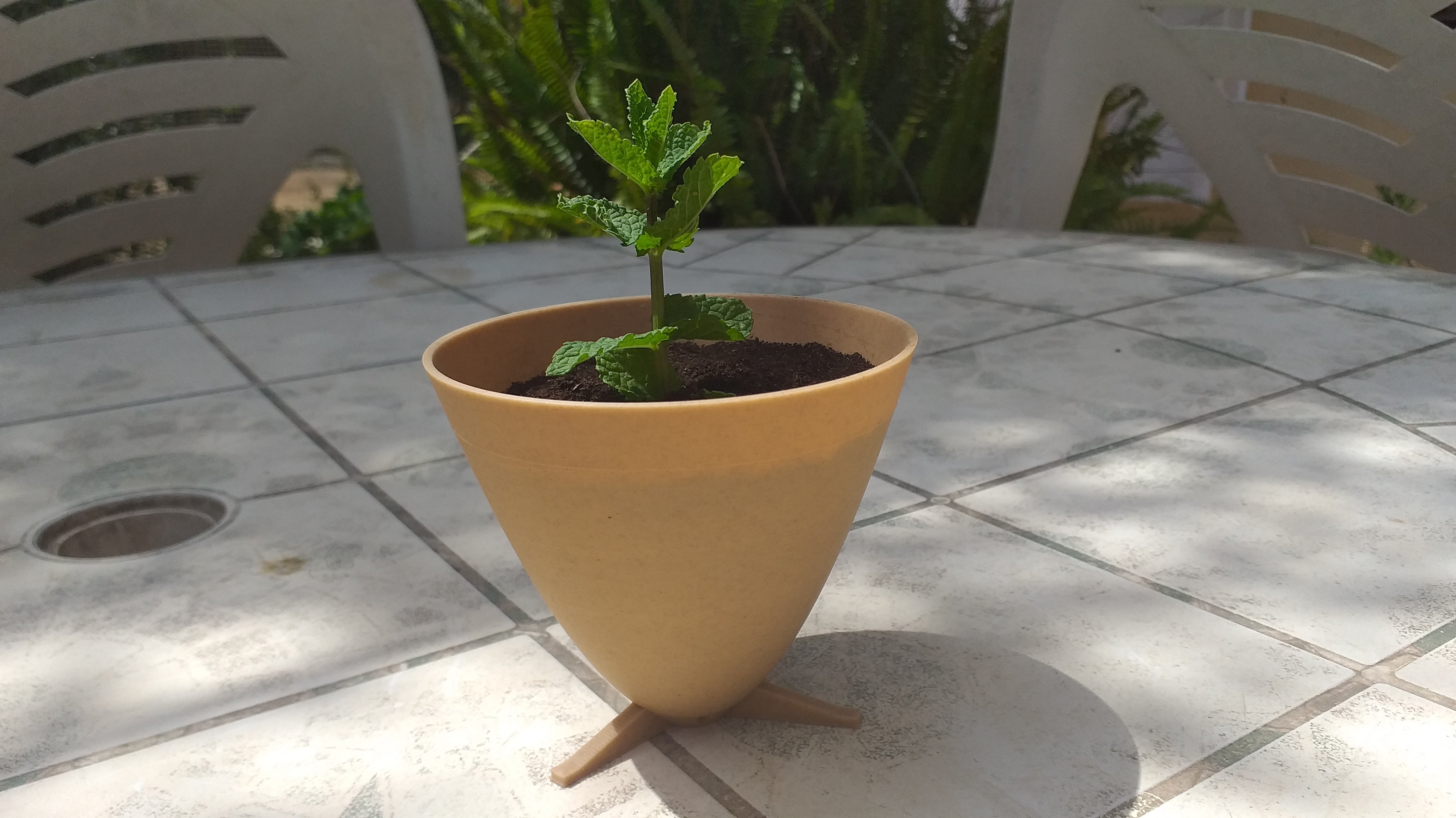 Vaso parabolico per piante con piedini e piastra di drenaggio