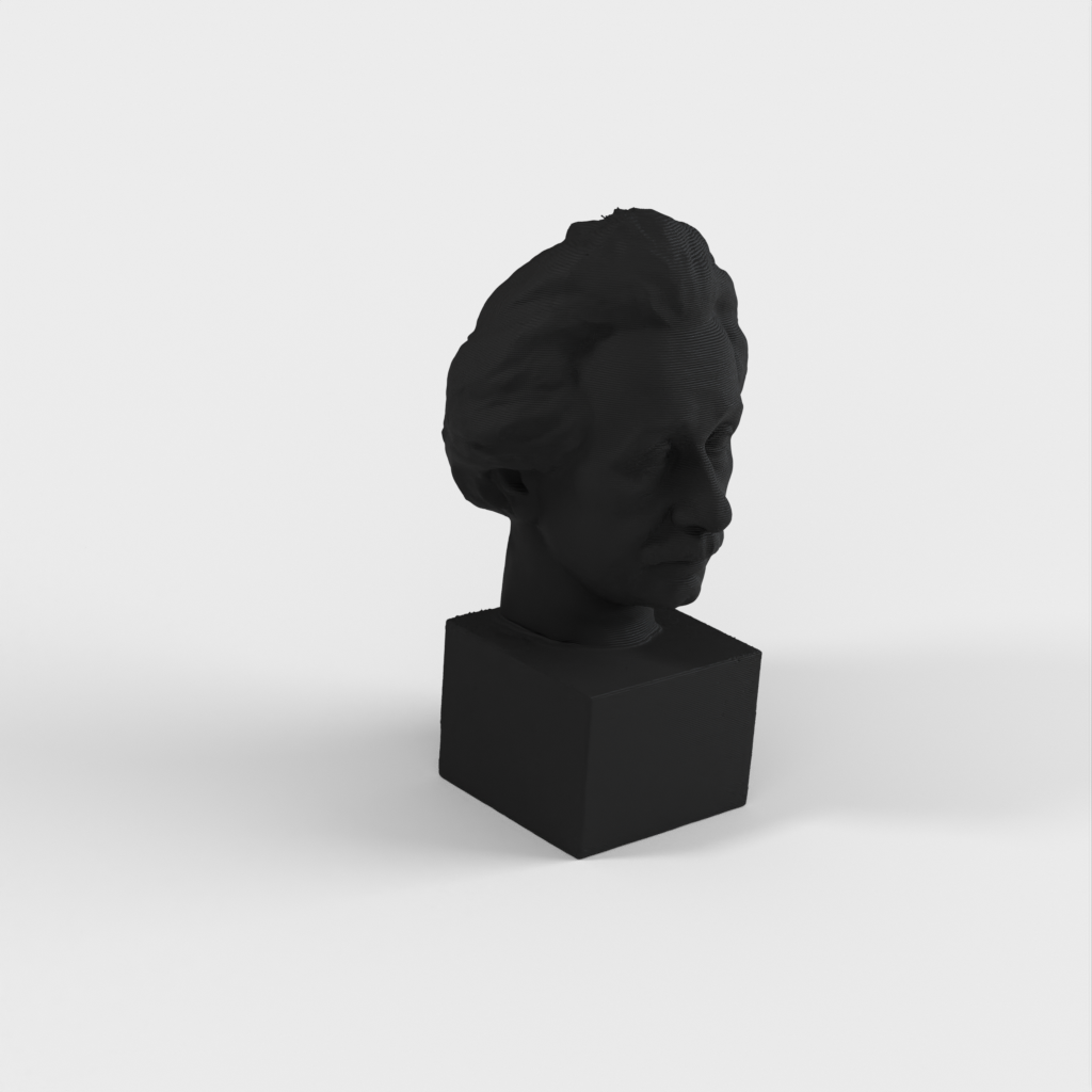 Busto di Einstein