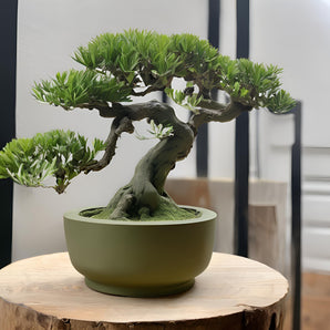 Rund minimalistisk bonsai potte til små planter