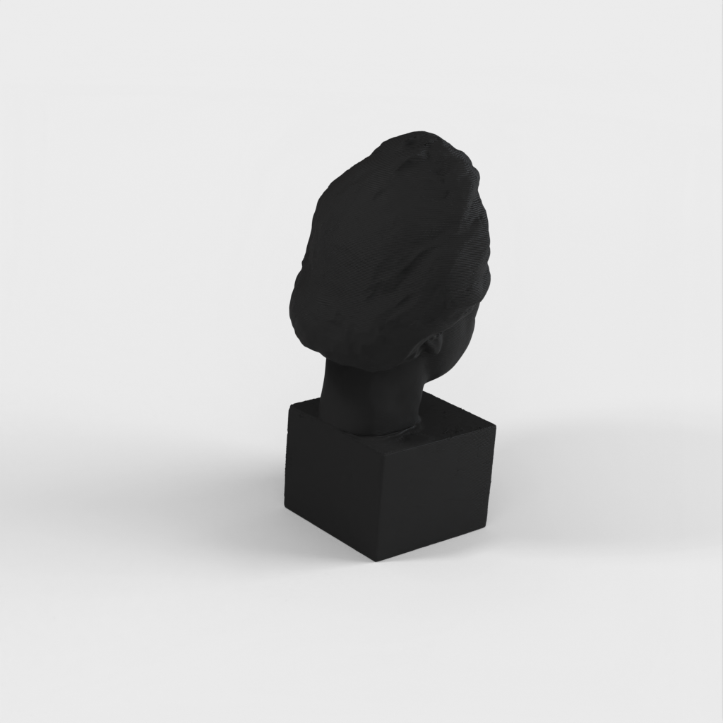 Scansione 3D del busto di Albert Einstein - Statua in bronzo per la stampa