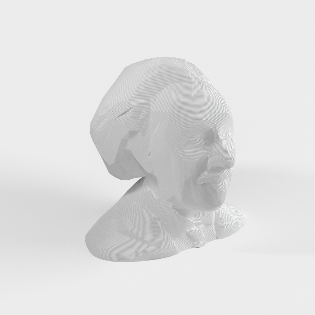 Busto/scultura di Albert Einstein in poli basso