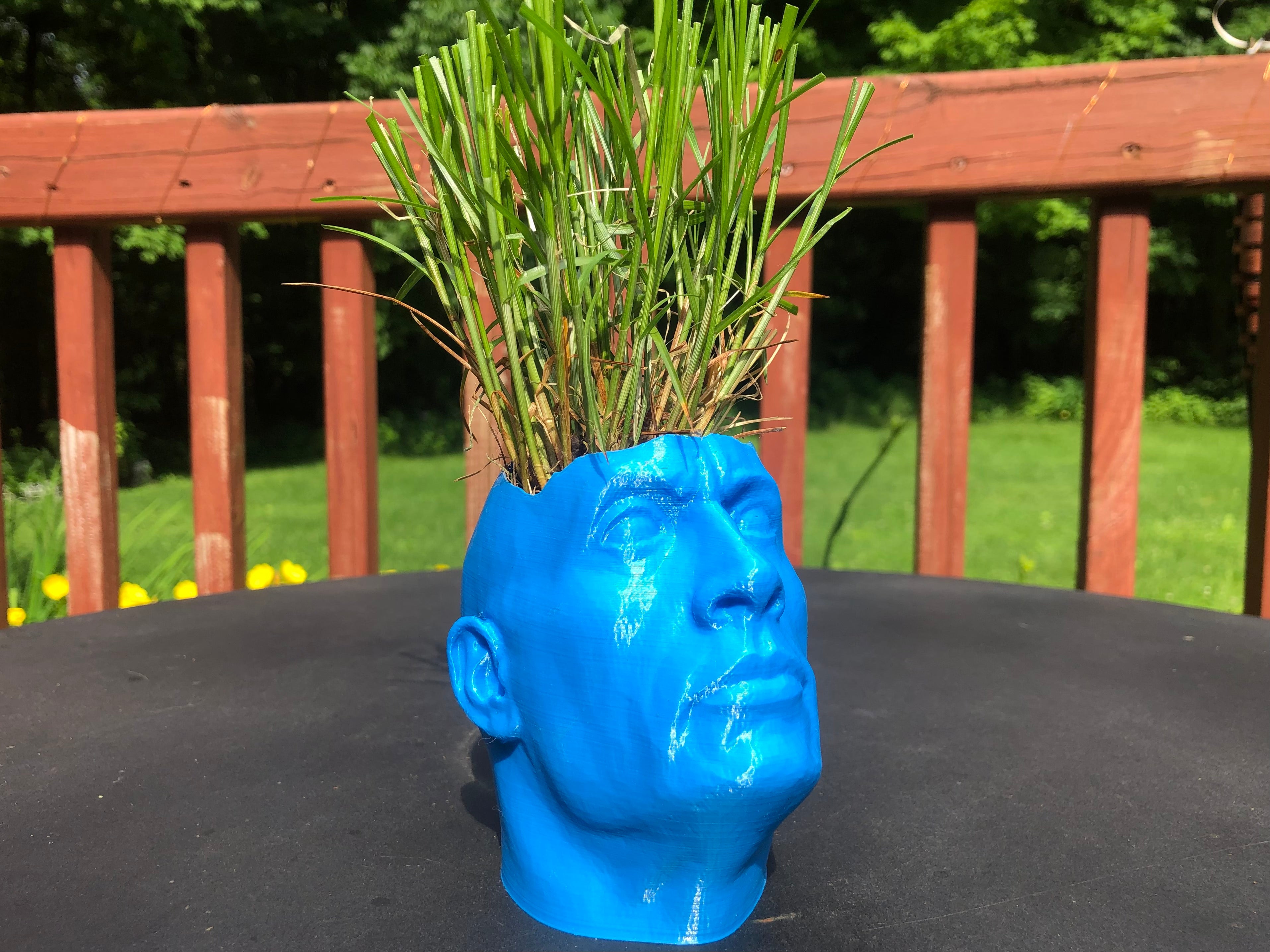 Dwayne 'The Pot' Johnson - Unico vaso da giardinaggio