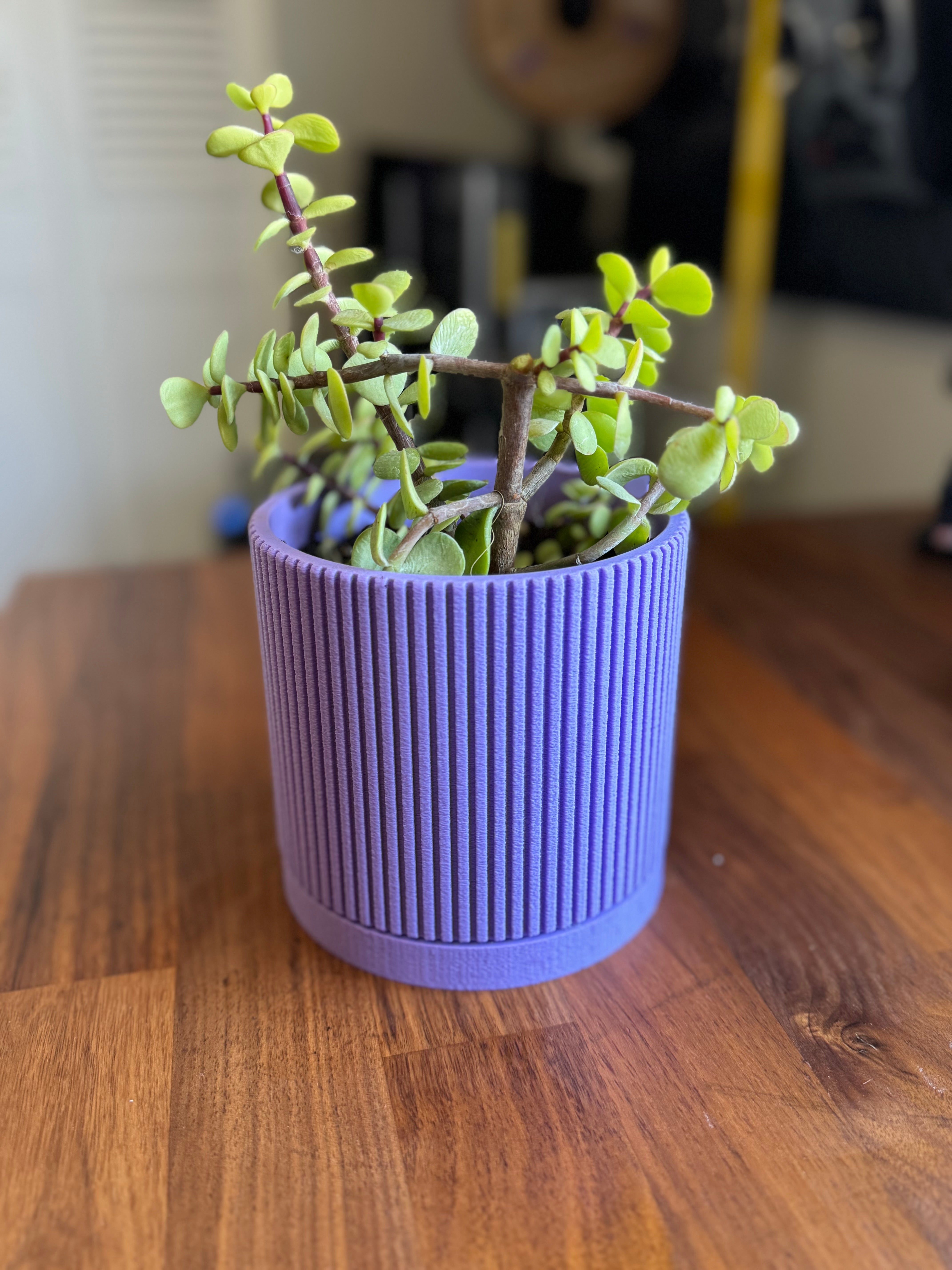 Vaso per piante Mid Century Modern con sottovaso - Fessure lineari