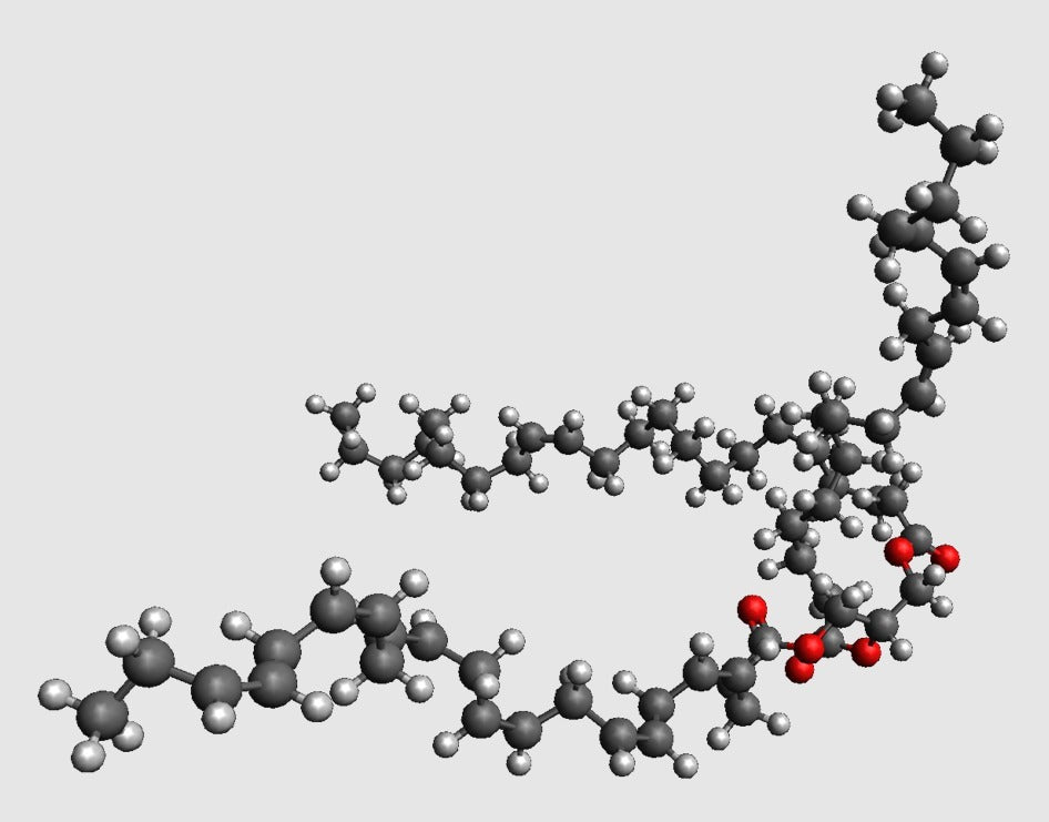 Modello molecolare di triacilglicerolo in scala atomica