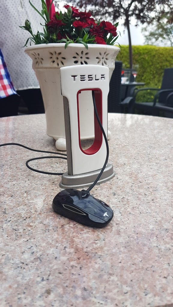 Caricabatterie Tesla per telefoni di tipo USB-C