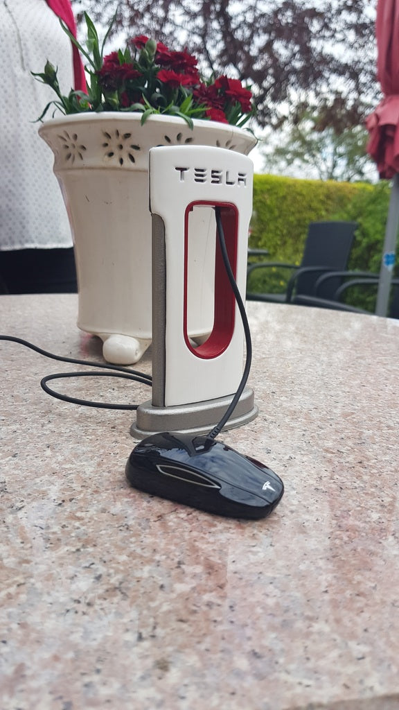 Caricabatterie Tesla per telefoni di tipo USB-C