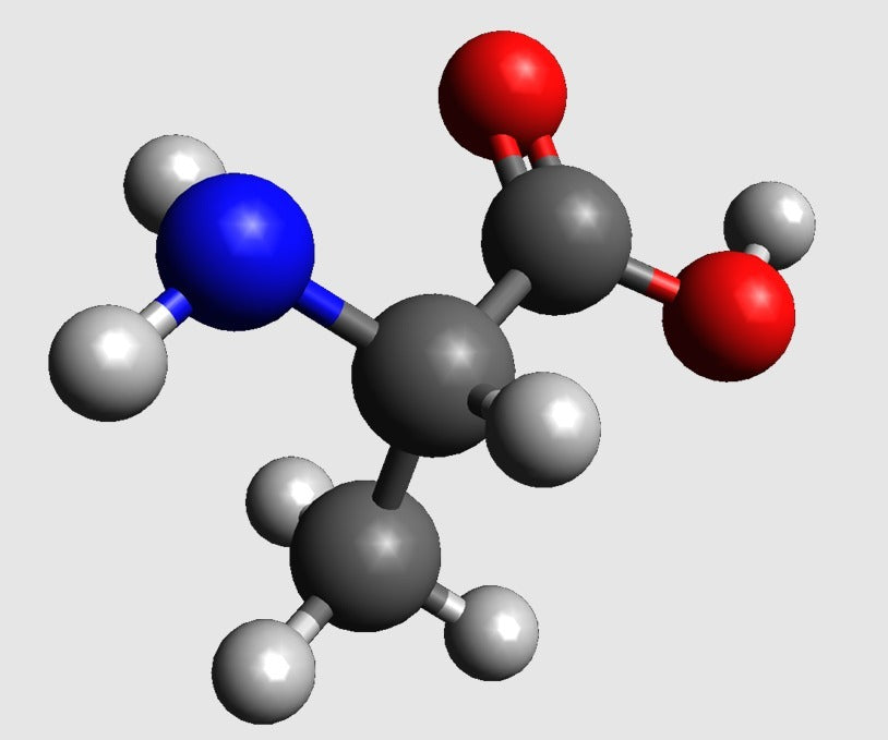 Modellazione molecolare dell'alanina su scala atomica